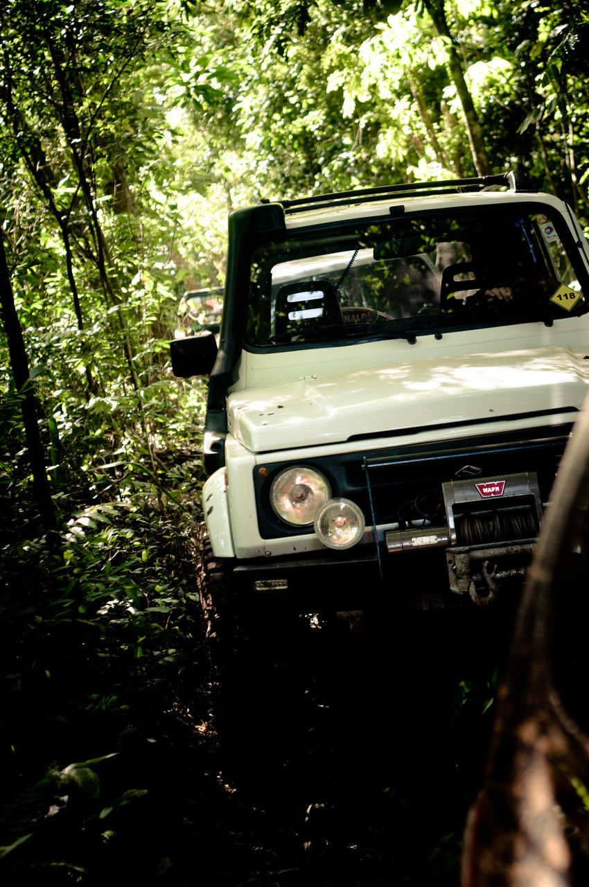 ABANDONED VEHICLE ON TREE