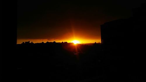 Silhouette of trees at sunset