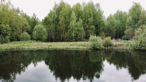 Scenic view of lake by trees in forest against sky