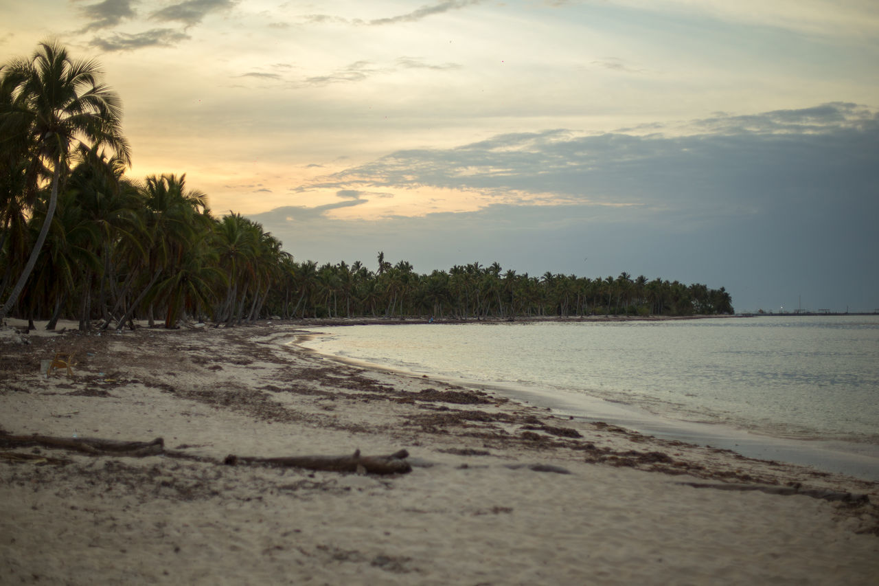 sky, shore, water, land, beach, sea, cloud, morning, coast, tree, sand, nature, ocean, body of water, scenics - nature, beauty in nature, tranquility, plant, wave, palm tree, tropical climate, environment, horizon, tranquil scene, sunlight, landscape, reflection, travel destinations, dusk, no people, travel, sunrise, coconut palm tree, outdoors, holiday, bay, coastline, vacation, sun, trip, idyllic, tourism, tropical tree, island, seascape, non-urban scene