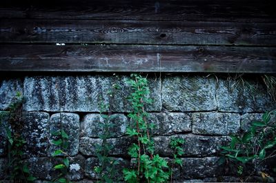 Close-up of weathered wall