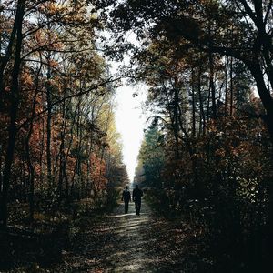 Full length of woman walking on road