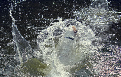 Waves splashing in water