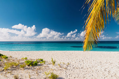 Scenic view of beach against blue sky