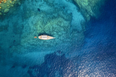 High angle view of man swimming in pool