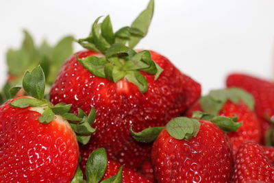 Close-up of strawberries