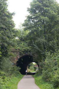 Bridge amidst trees in forest