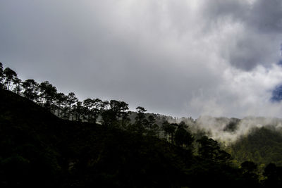 Low angle view of trees and mountains against sky