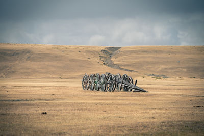 Horse cart on field against sky