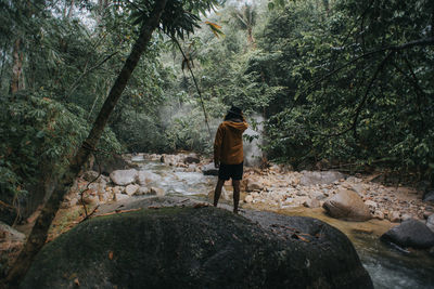 Rear view of woman standing on rock in forest