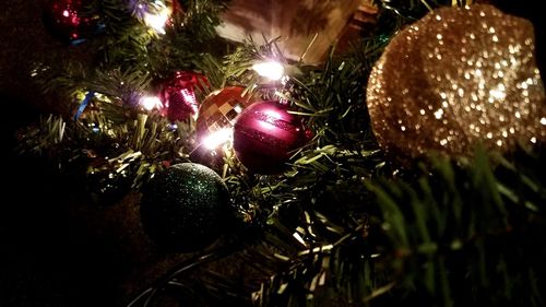 Close-up of christmas tree at night