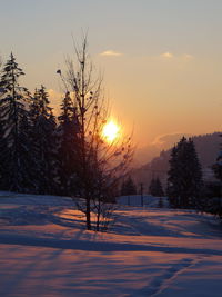 Bare trees on snow landscape against sky during sunset