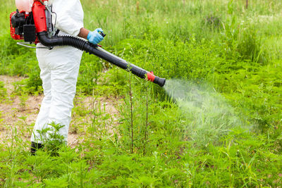 Pest control worker spraying insecticides outdoors. ragweed hay fever chemical treatment.