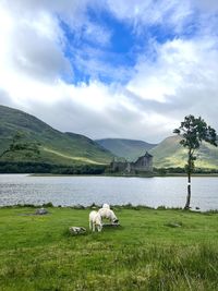 Scenic view of lake against sky