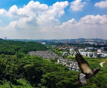 Bird flying over city against sky