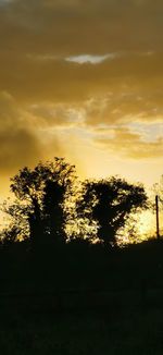 Silhouette trees on field against sky during sunset