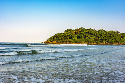 Beach with the rainforest and the sea in bertioga on the nort coast of the state of sao paulo