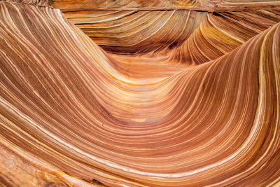 Full frame shot of wood