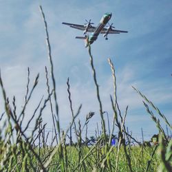 Low angle view of airplane flying in sky