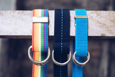 Close-up of multi colored pet leashes