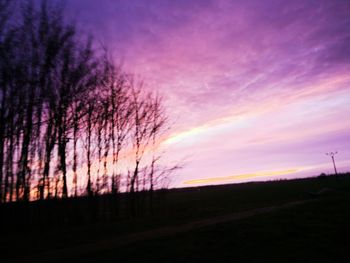 Silhouette trees on field against dramatic sky during sunset