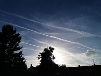 Low angle view of silhouette trees against sky