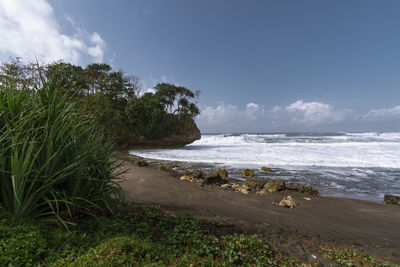 Scenic view madasari beach grass and stone with blue sky