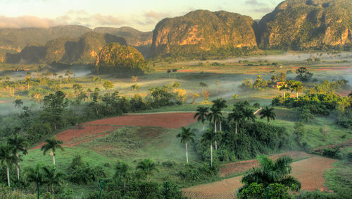 Scenic view of agricultural field against mountains