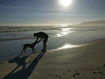 Silhouette dog on beach against sky