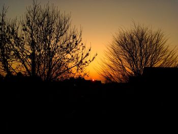 Silhouette bare trees against sky during sunset