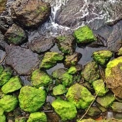 Rocks in water