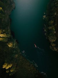 High angle view of boat on river in forest