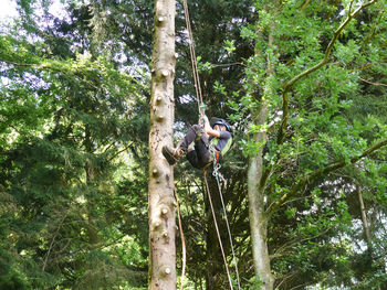 Low angle view of man climbing on tree in forest