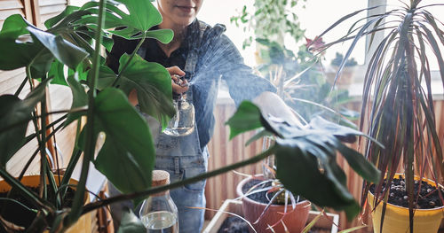 Young girl watering home plants on the balcony, green environment in room, home gardening