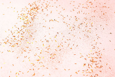 Festive pink background with sparkles. concept for women's day or valentine's day 