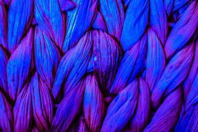 Full frame shot of purple leaves