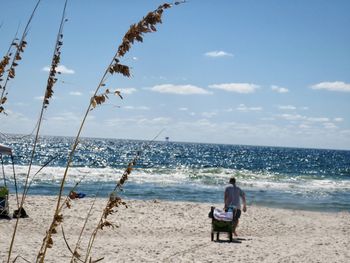 Rear view of woman sitting on beach against sky