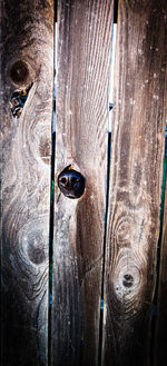 Detail shot of carving on wood