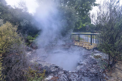 Hot spring in forest