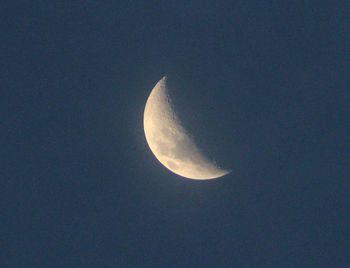 Low angle view of moon in sky