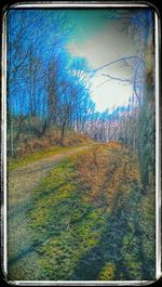 Road by trees against sky