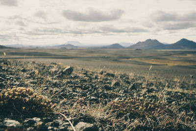 Scenic view of field against cloudy sky