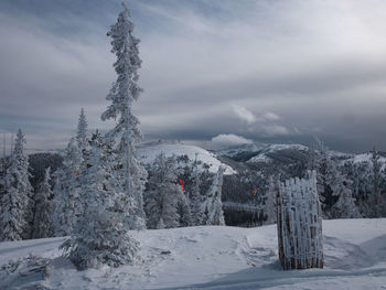 Snow covered land and trees against sky