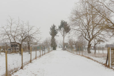 Bare trees on snow covered landscape