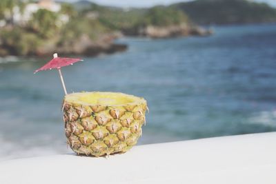 Close-up of fruit on beach