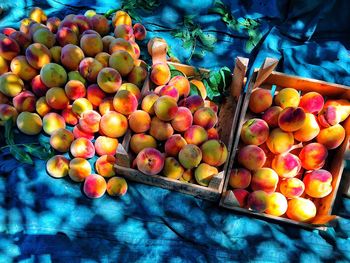 High angle view of red apples