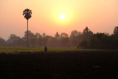 Scenic view of field against sky during sunset