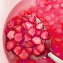 Directly above shot of fruits in bowl