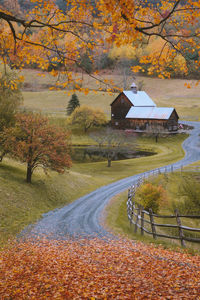 Road amidst trees and buildings during autumn