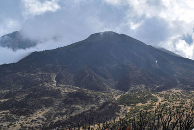 Scenic view of mount meru in arusha national